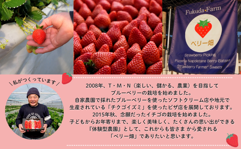 いちご 2パック (280g×2) あまおう いちごの王様 苺 イチゴ 果物 くだもの フルーツ 旬のフルーツ 季節のフルーツ 旬の果物 季節の果物 福岡 福岡県 小郡市 ※配送不可：沖縄、離島