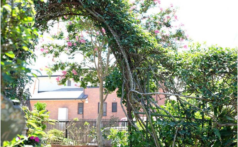 【低糖質】手作り プレミアムチーズケーキ スイーツ デザート お菓子 焼菓子 濃厚 糖質制限 やさしい甘さ 健康管理 