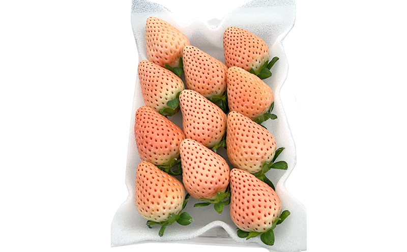 いちご 1箱 (270g×2パック) あまおう あまえくぼ さくら淡雪 (いちご食べ比べセット) ※品種はおまかせ