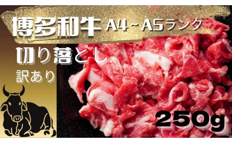 和牛 博多和牛 A4ランク以上 【訳あり】切り落とし 250g 牛 牛肉 お肉 ※配送不可:離島