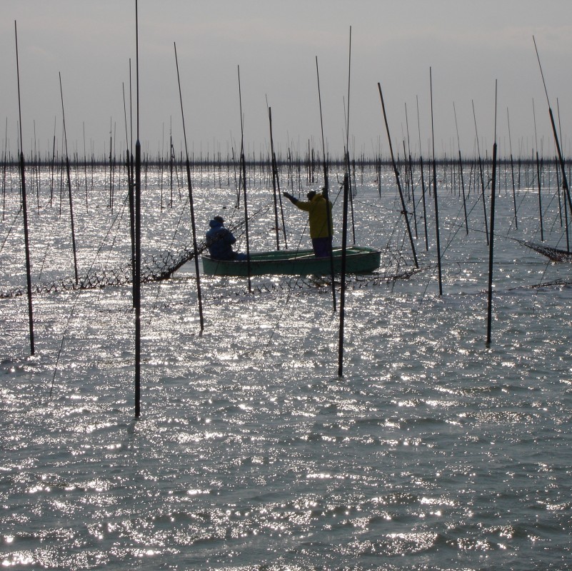 福岡有明のり 【竹】 わけあり 焼き海苔 全形10枚