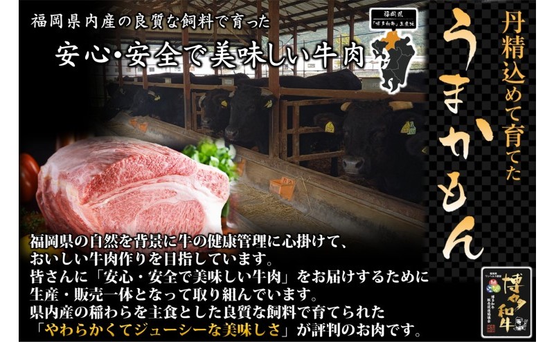 博多和牛 モモ 焼肉用・スライス 計800g (各400g) 牛肉 肉 セット ※配送不可：離島