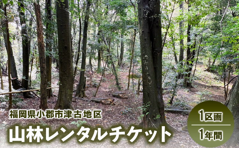 チケット 山林レンタルチケット 小郡市津古地区 1区画 1年間