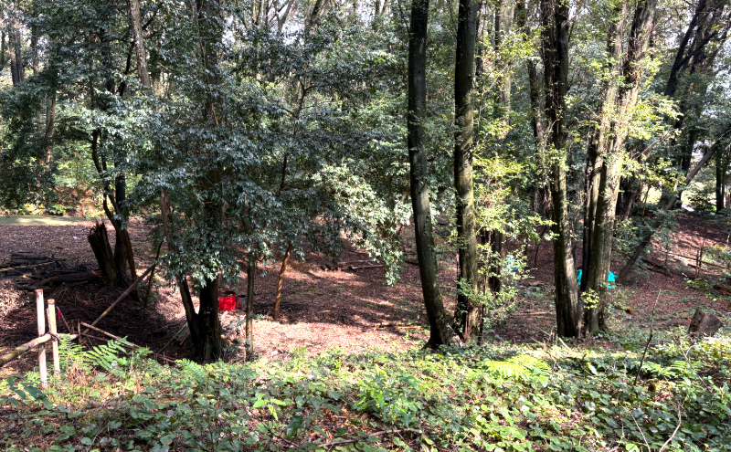 チケット 山林レンタルチケット 小郡市津古地区 1区画 1年間