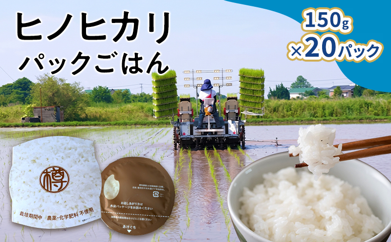 米 パックごはん 150g入×20パック パック お米 コメ