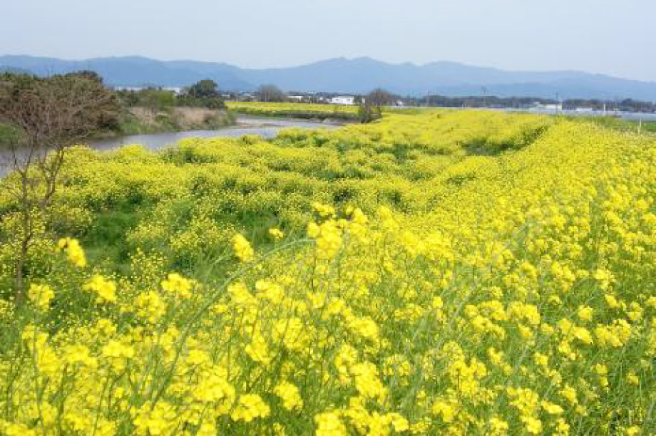 防犯や防災などの安全・安心のまちづくり