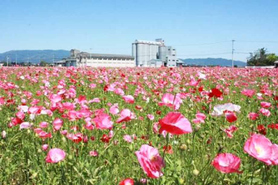 未来を担う子どもへの子育て支援の環境づくり