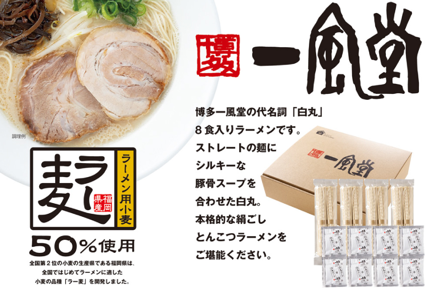 ラーメン 一風堂 とんこつラーメン 白丸 ラー麦麺 スープ 12食 セット [地域商社ふるさぽ 福岡県 筑紫野市 21761444] 博多 福岡 らーめん ラー麦 とんこつ 豚骨 博多ラーメン 豚骨ラーメン 白丸ラーメン