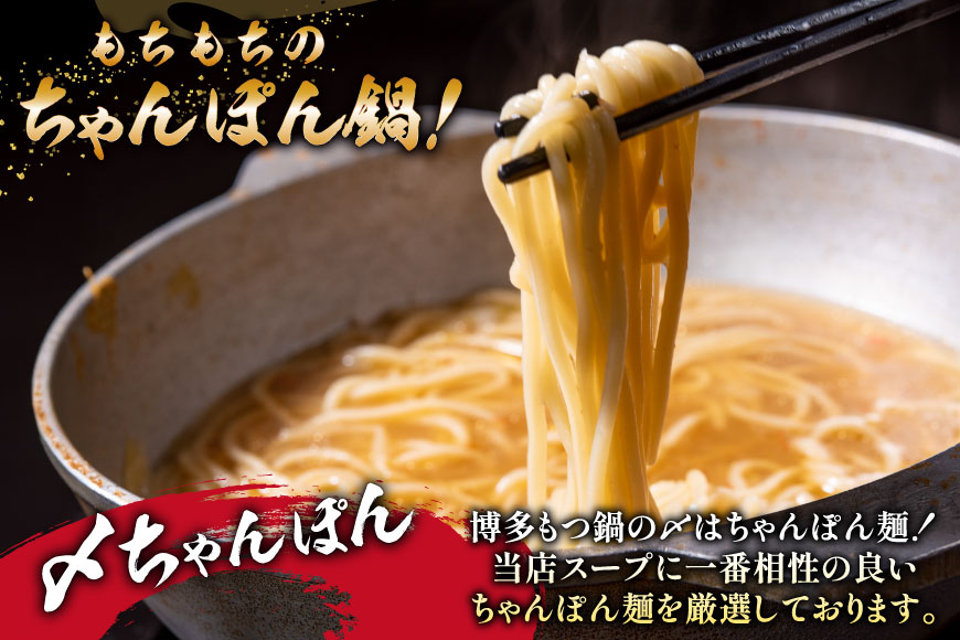【老舗人気店】博多本格もつ鍋 2〜3人前 [博多もつ鍋 太閤 福岡県 筑紫野市 21760393] モツ鍋 もつ鍋 モツ もつ ホルモン 鍋 鍋セット 冷凍