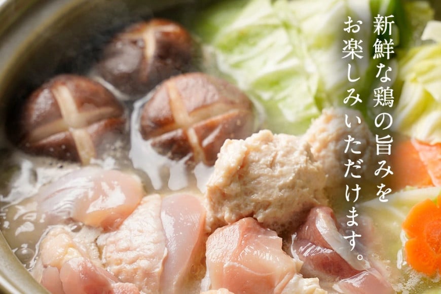 はかた地どり 美人水炊きセット 鶏肉2種 スープ 麺 コラーゲン 計5種 2〜3人前 [MEAT PLUS 福岡県 筑紫野市 21760711] 水炊き セット 鶏 鶏肉 とり肉 鶏団子 福岡 博多 国産