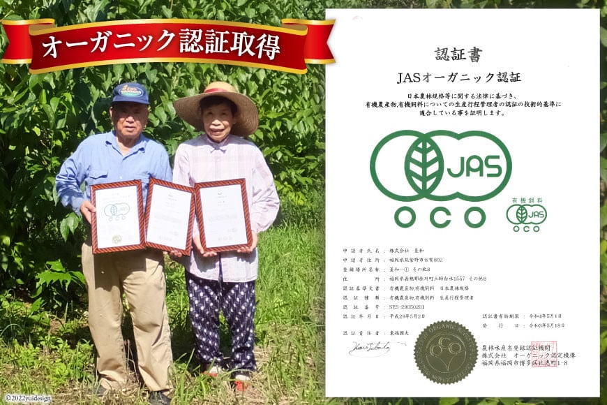 オーガニック認定葉使用 杜仲茶 5g×30包×3袋 [菱和 福岡県 筑紫野市 21760183]
