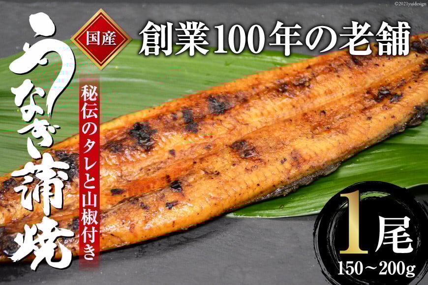 創業100年の味 鰻の蒲焼 1尾 150〜200g 秘伝のタレと山椒付き [川魚料理 鯉ひろまつ 福岡県 筑紫野市 21760023]