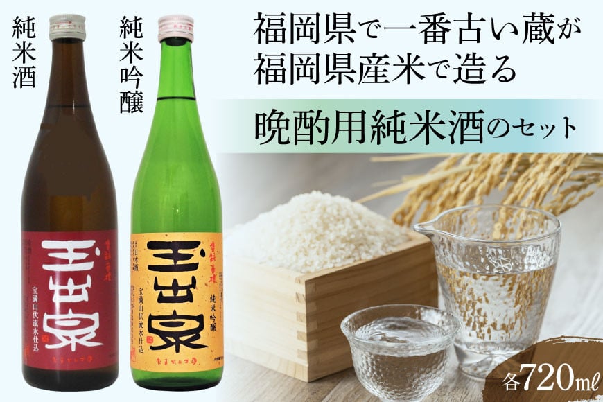 【福岡県で一番古い蔵】 「玉出泉」 純米セット [大賀酒造 福岡県 筑紫野市 21761171] 純米吟醸 純米酒 日本酒 酒 お酒 晩酌 セット 2種 飲み比べ