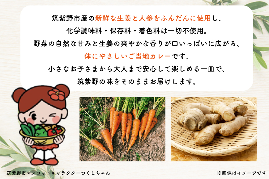 カレー レトルト つくしちゃんカレー 5袋 [エニクック 福岡県 筑紫野市 21761459] カレーライス ビーフカレー 常温保存