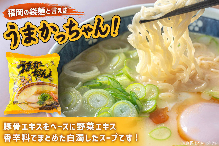 インスタントラーメン うまかっちゃん 5食パック 6セット 計 30食 [地域商社ふるさぽ 福岡県 筑紫野市 21761453] ラーメン 博多ラーメン インスタント とんこつ 即席ラーメン 袋麺 まとめ買い ラーメン詰め合わせ