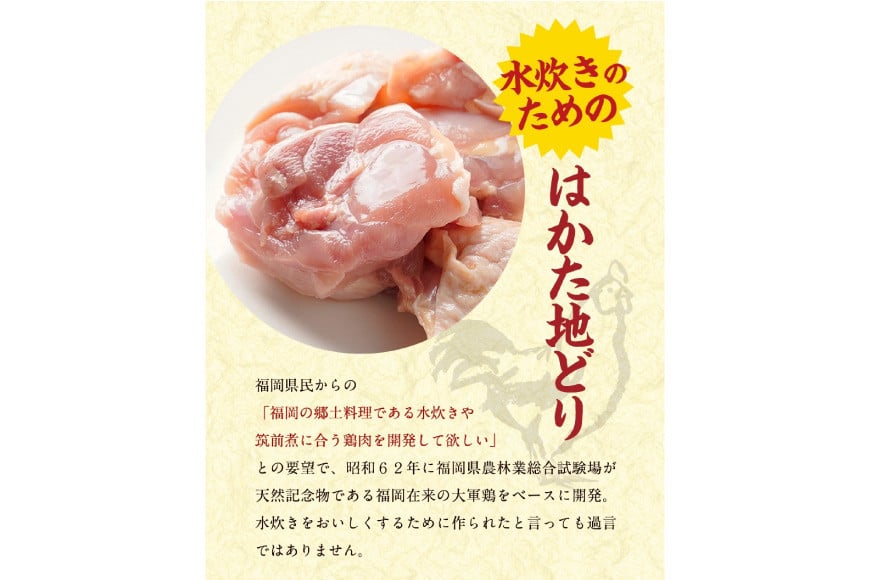 はかた地どり 美人水炊きセット 鶏肉2種 スープ 麺 コラーゲン 計5種 2〜3人前 [MEAT PLUS 福岡県 筑紫野市 21760711] 水炊き セット 鶏 鶏肉 とり肉 鶏団子 福岡 博多 国産