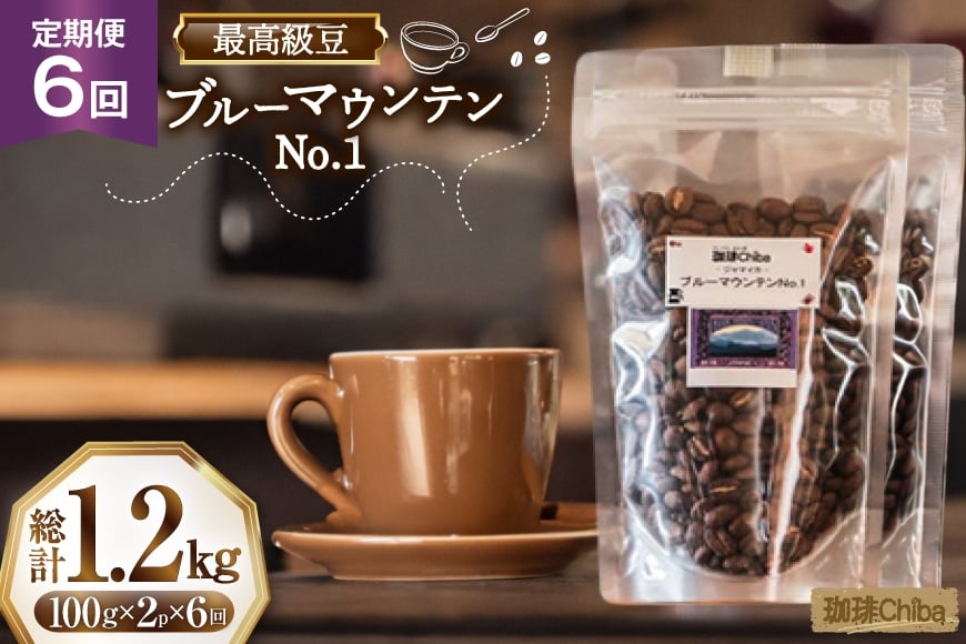 【6回定期便】 コーヒー豆 ブルーマウンテン 100g  2パック [珈琲Chiba 福岡県 筑紫野市 21761424] コーヒー 珈琲 豆 珈琲豆 セット ブルーマウンテンNo.1 ブルマン 豆のまま おいしい coffee bean beans 定期 定期便 6ヶ月 6回