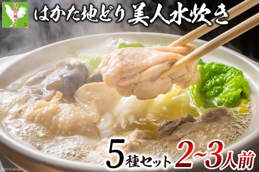 はかた地どり 美人水炊きセット 鶏肉2種 スープ 麺 コラーゲン 計5種 2〜3人前 [MEAT PLUS 福岡県 筑紫野市 21760711] 水炊き セット 鶏 鶏肉 とり肉 鶏団子 福岡 博多 国産