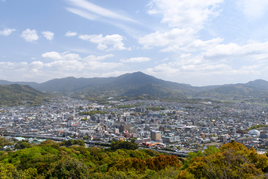手羽先餃子 博多とんこつ味 10本 博多しょうゆ味 10本 計 20本 [大雅 福岡県 筑紫野市 21761456] 九州 おつまみ おかず ぎょうざ 手羽先 冷凍