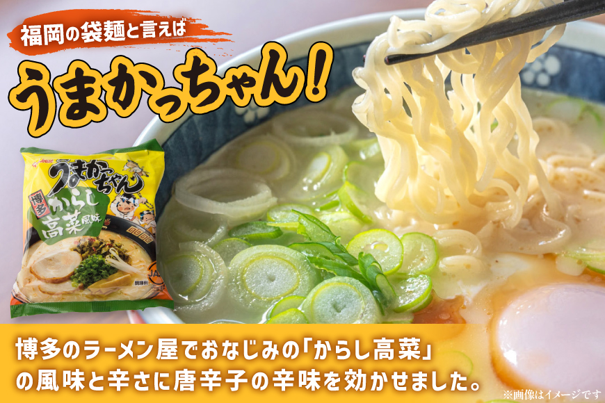 インスタントラーメン うまかっちゃん からし高菜風味 5食パック 6セット 計 30食 [地域商社ふるさぽ 福岡県 筑紫野市 21761454] からし 高菜 ラーメン 博多ラーメン インスタント とんこつ 即席ラーメン 袋麺 まとめ買い ラーメン詰め合わせ