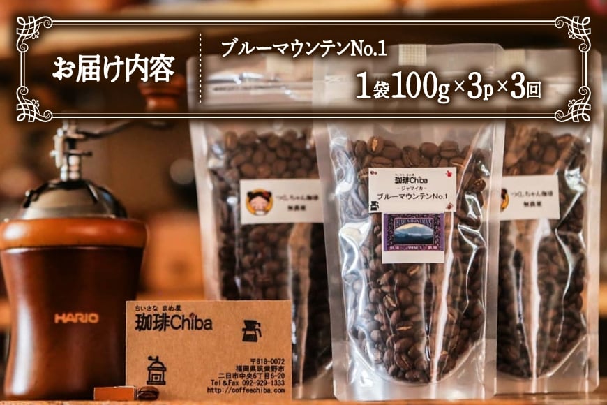 【3回定期便】 コーヒー豆 ブルーマウンテン 100g  3パック [珈琲Chiba 福岡県 筑紫野市 21761422] コーヒー 珈琲 豆 珈琲豆 セット ブルーマウンテンNo.1 ブルマン 豆のまま おいしい coffee bean beans 定期 定期便 12ヶ月 12回