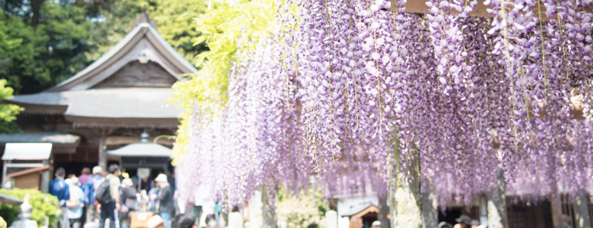 福岡県筑紫野市