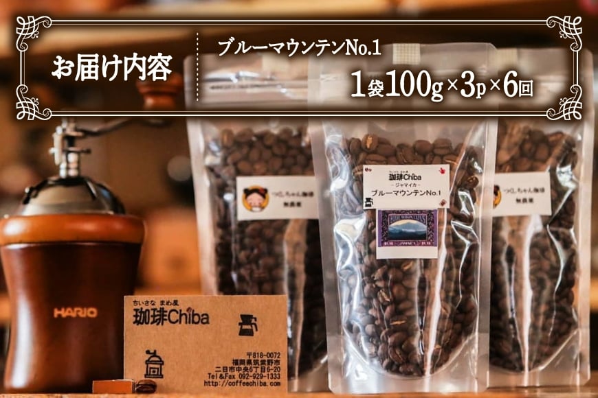 【6回定期便】 コーヒー豆 ブルーマウンテン 100g  3パック [珈琲Chiba 福岡県 筑紫野市 21761421] コーヒー 珈琲 豆 珈琲豆 セット ブルーマウンテンNo.1 ブルマン 豆のまま おいしい coffee bean beans 定期 定期便 6ヶ月 6回