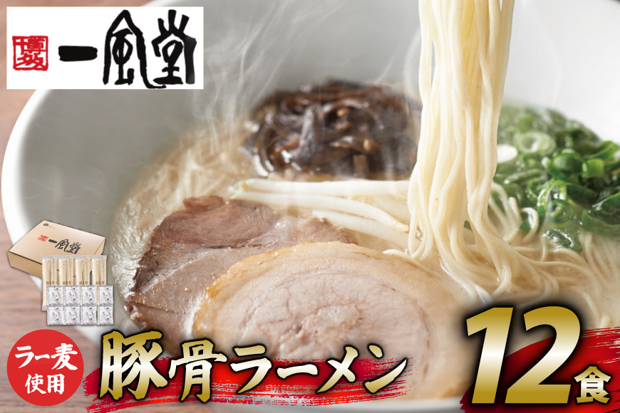 ラーメン 一風堂 とんこつラーメン 白丸 ラー麦麺 スープ 12食 セット [地域商社ふるさぽ 福岡県 筑紫野市 21761444] 博多 福岡 らーめん ラー麦 とんこつ 豚骨 博多ラーメン 豚骨ラーメン 白丸ラーメン