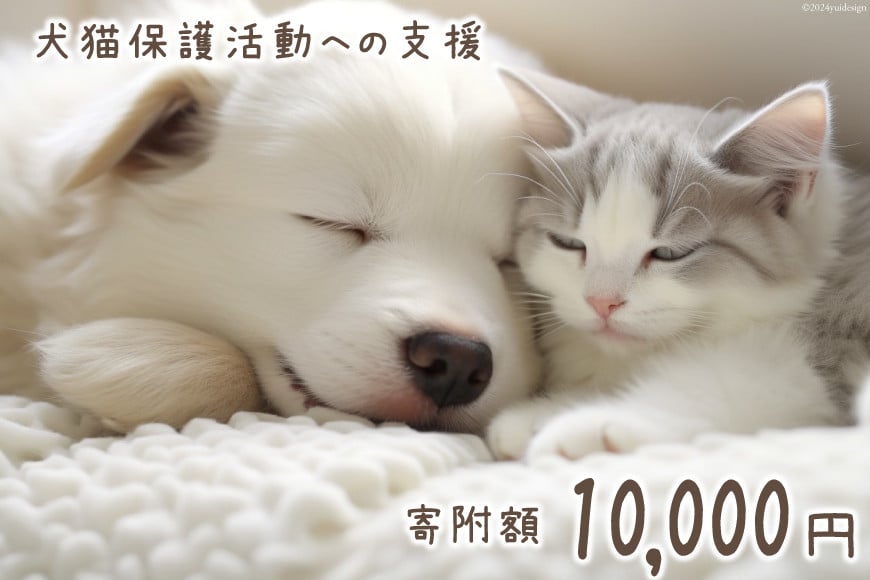 犬猫保護活動への支援 1万円 [NPO法人セブンデイズ 福岡県 筑紫野市 21761399] 保護 動物 犬 猫 犬猫 保護犬 支援 応援 イヌ ネコ いぬ ねこ ペット動物愛護 愛護 保護活動