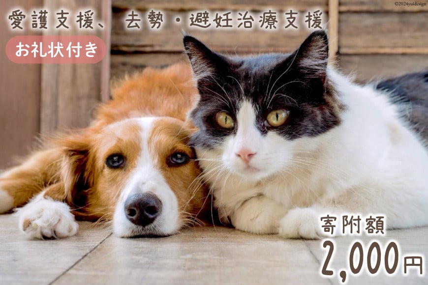 愛護支援、去勢・避妊治療支援 2000円 [Animal Care Salvation 福岡県 筑紫野市 21760765] 動物 ペット 愛護 TNR 保護 動物福祉 保護施設 里親 犬 猫 イヌ ネコ いぬ ねこ 動物愛護 保護活動 支援