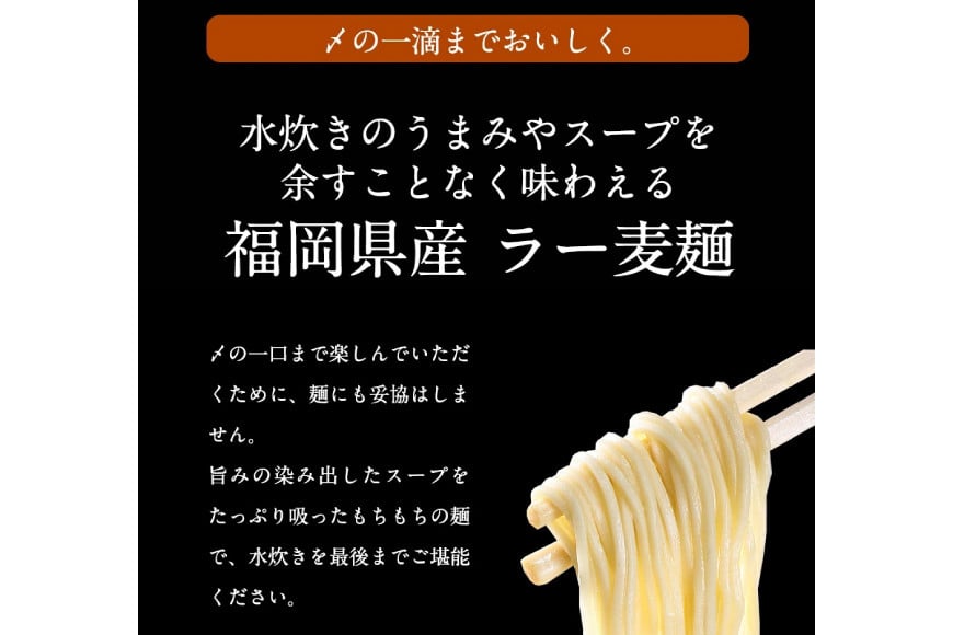 はかた地どり 美人水炊きセット 鶏肉2種 スープ 麺 コラーゲン 計5種 2〜3人前 [MEAT PLUS 福岡県 筑紫野市 21760711] 水炊き セット 鶏 鶏肉 とり肉 鶏団子 福岡 博多 国産