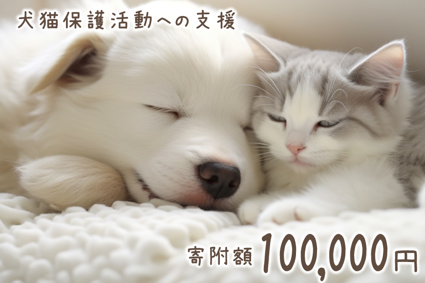 犬猫保護活動への支援 10万円 [NPO法人セブンデイズ 福岡県 筑紫野市 21761491] 保護 動物 犬 猫 犬猫 保護犬 支援 応援 イヌ ネコ いぬ ねこ ペット動物愛護 愛護 保護活動