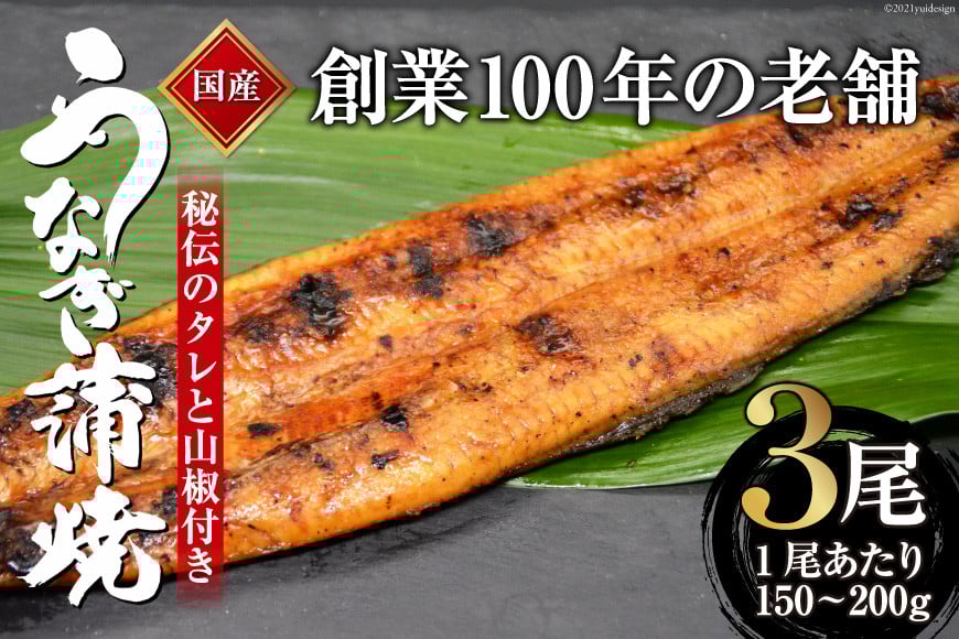 創業100年の味 鰻の蒲焼 3尾 秘伝のタレと山椒付き [川魚料理 鯉ひろまつ 福岡県 筑紫野市 21760025]