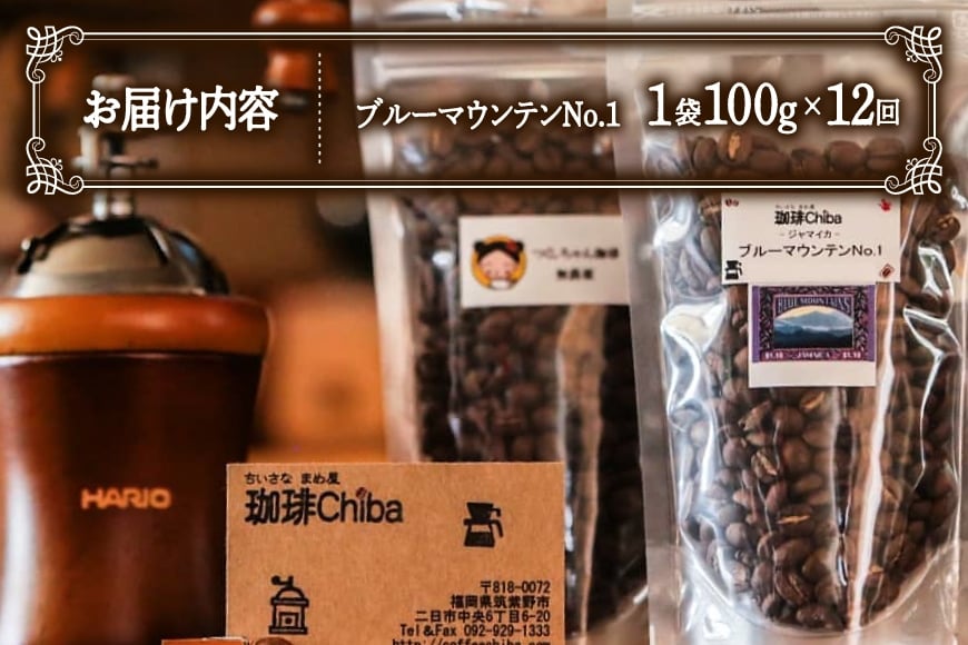 【12回定期便】 コーヒー豆 ブルーマウンテン 100g [珈琲Chiba 福岡県 筑紫野市 21761426] コーヒー 珈琲 豆 珈琲豆 セット ブルーマウンテンNo.1 ブルマン 豆のまま おいしい coffee bean beans 定期 定期便 12ヶ月 12回