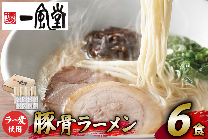 ラーメン 一風堂 とんこつラーメン 白丸 ラー麦麺 スープ 6食 セット [地域商社ふるさぽ 福岡県 筑紫野市 21761445] 博多 福岡 らーめん ラー麦 とんこつ 豚骨 博多ラーメン 豚骨ラーメン 白丸ラーメン