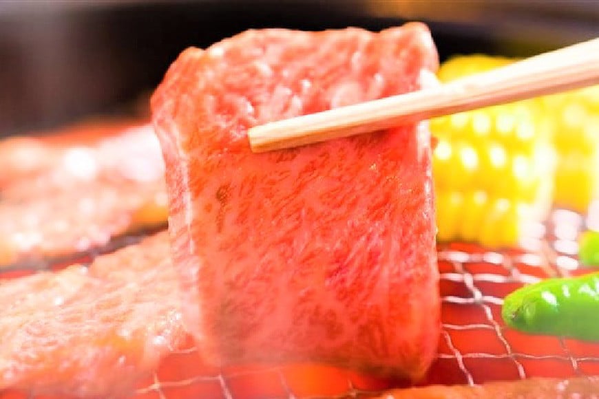 博多和牛 A4以上 焼肉セット 500g [MEAT PLUS 福岡県 筑紫野市 21760740] 肉 牛肉 和牛 黒毛和牛 焼肉 冷凍