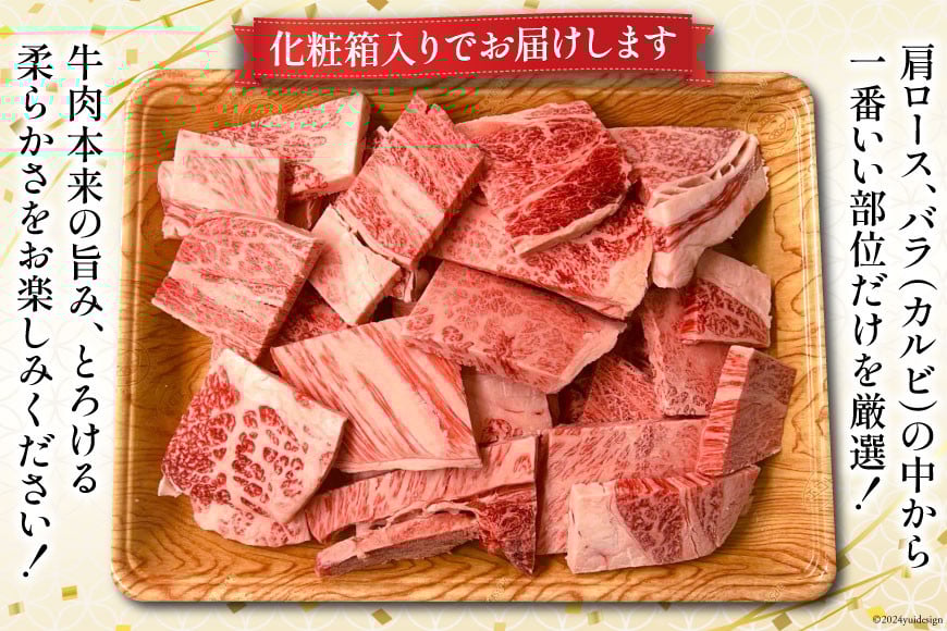 訳あり 博多和牛 A4〜A5 切り落とし 焼肉   (肩ロース or バラ）500g 化粧箱 / MEAT PLUS / 福岡県 筑紫野市 [21760469] 肉 牛肉 和牛 黒毛和牛 冷凍