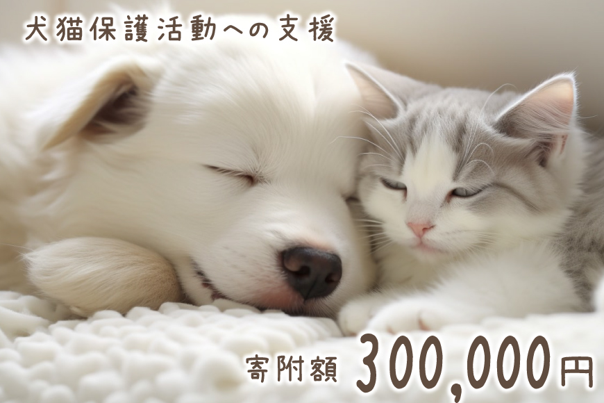 犬猫保護活動への支援 30万円 [NPO法人セブンデイズ 福岡県 筑紫野市 21761492] 保護 動物 犬 猫 犬猫 保護犬 支援 応援 イヌ ネコ いぬ ねこ ペット動物愛護 愛護 保護活動