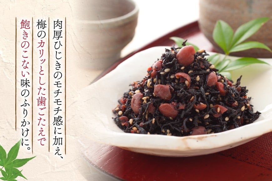 秘密のケンミンSHOW極で紹介！ 梅の実ひじき 150g 4個 セット 計600g [十二堂 福岡県 筑紫野市 21761295] ご飯のお供 ごはんのお供 ふりかけ 梅 えとや ひじき