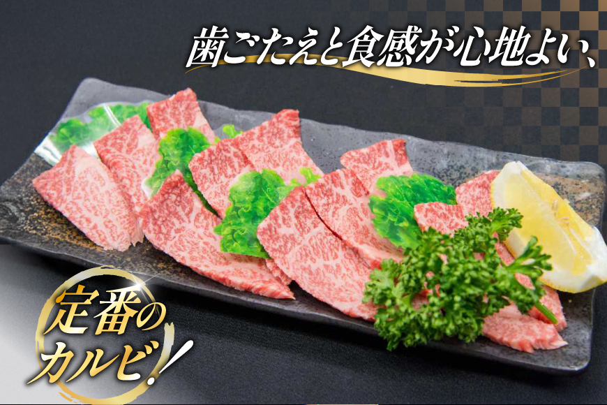 牛肉 焼肉 博多和牛 カルビ 450g 2p 約 900g [地域商社ふるさぽ 福岡県 筑紫野市 21761434] 焼き肉 やきにく 和牛 牛 肉 にく 国産 カルビ 冷凍 小分け
