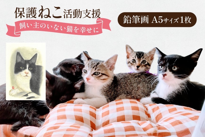 保護猫 支援 猫保護活動への支援 鉛筆画 A5 [地域ねこサポート会ちくしの 福岡県 筑紫野市 21761294] 保護 動物 猫 応援 ネコ ねこ ペット動物愛護 愛護 保護活動 クリポス メール便 メール便対応