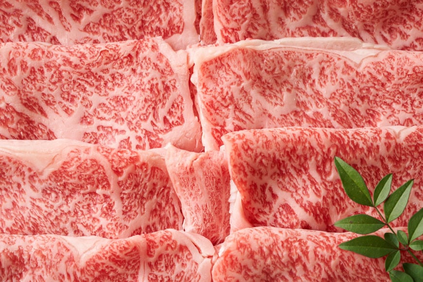 訳あり 博多和牛 A4以上 しゃぶしゃぶ すき焼き スライス 250g & 切り落とし 500g 計750g【部位おまかせ】/ MEAT PLUS / 福岡県 筑紫野市 [21760211] 牛肉 和牛 黒毛和牛 冷凍