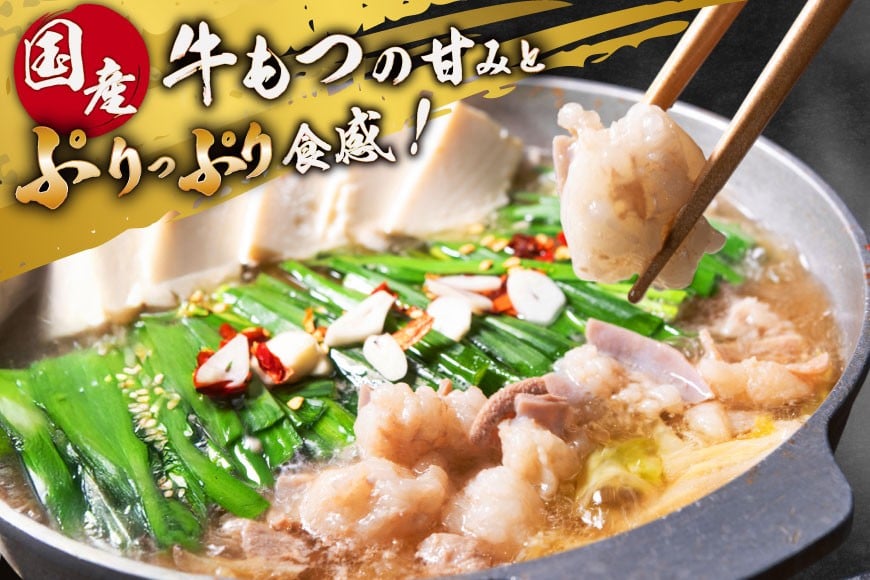 定期便 博多 本格 もつ鍋 2〜3人前×6回【老舗人気店】 モツ鍋 もつなべ / 博多もつ鍋 太閤 / 福岡県 筑紫野市 [21760399]