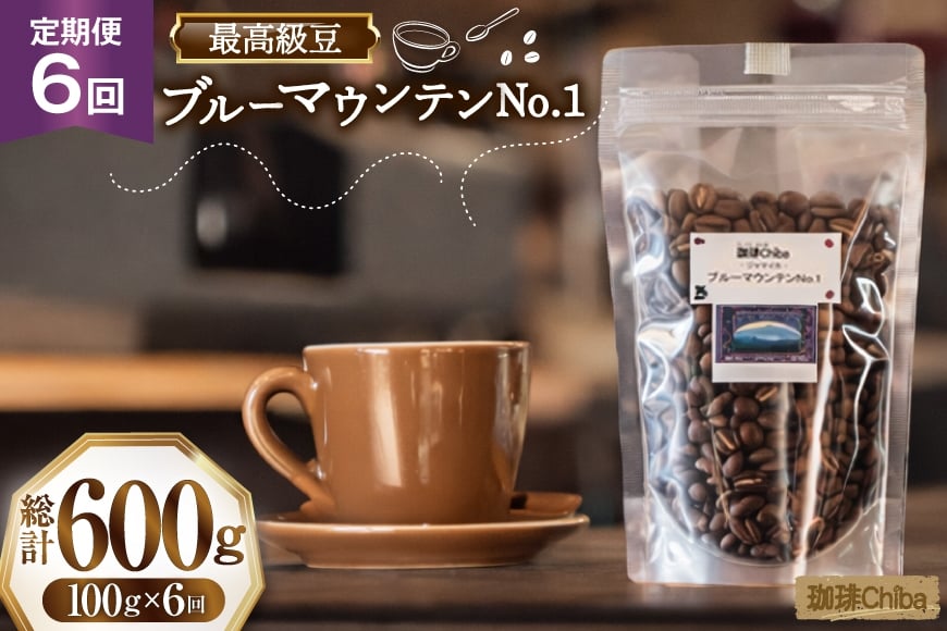 【6回定期便】 コーヒー豆 ブルーマウンテン 100g [珈琲Chiba 福岡県 筑紫野市 21761427] コーヒー 珈琲 豆 珈琲豆 セット ブルーマウンテンNo.1 ブルマン 豆のまま おいしい coffee bean beans 定期 定期便 6ヶ月 6回