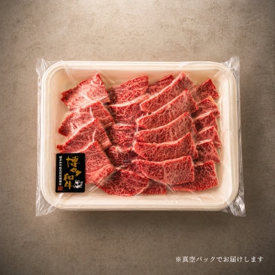 【博多和牛】焼肉用　(合計500g)【配送不可地域：離島】【1232081】