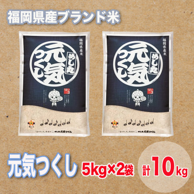 福岡県産ブランド米元気つくし(合計10kg)【1411439】
