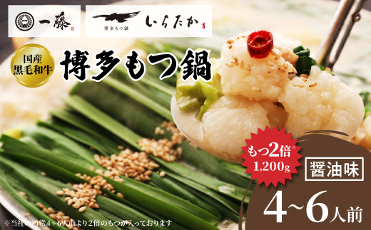 【国産黒毛和牛肉もつ1200g】100年続くもつ鍋一藤　もつ鍋醤油(4〜6人前)【配送不可地域：離島】【1122641】