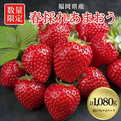 【数量限定】福岡県産あまおう270g×4パック【R7年2月発送開始】【配送不可地域：離島】【1277506】