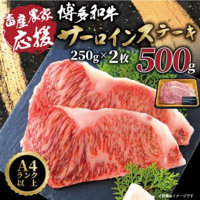 【先行予約数量限定】A4〜A5ランク 博多和牛サーロインステーキ 500g(大野城市)【配送不可地域：離島】【1643250】