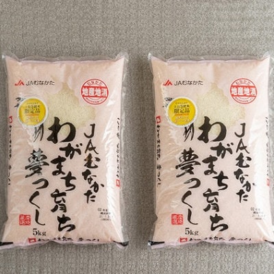 【毎月定期便】福岡県産米『夢つくし』10kg(5kg×2袋)(大野城市)全3回【4058579】